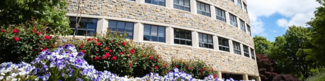 University Libraries at Virginia Tech | Virginia Tech Experts